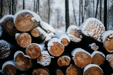 Holzstapel im Winter