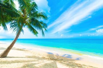 A beautiful beach on a tropical Island.