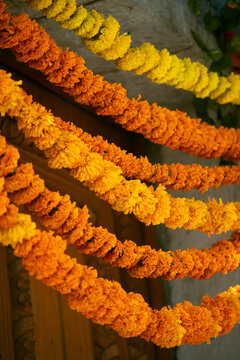 Flowers D&iacute;a de muertos