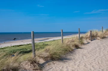 Path through the dunes with fence and beach grass on the North Sea coast