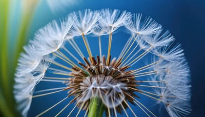 A closeup of a dandelion seed head with delicate white seeds, surrounded by abstract natural tones of green, blue, and soft light