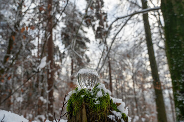 Trees are reflected in a glass ball lying on a tree stump in the snow