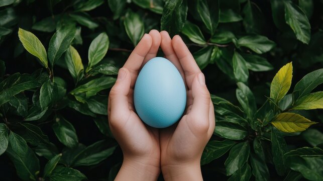 A pair of hands gently cradles a blue egg surrounded by lush green leaves, symbolizing nature and new beginnings.
