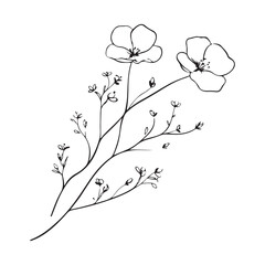 A delicate line art drawing of a blooming flower with graceful stems and tiny buds
