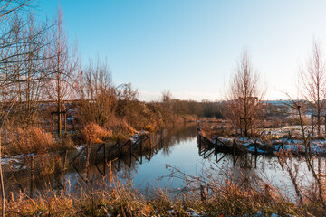 Étang hivernal ensoleillé