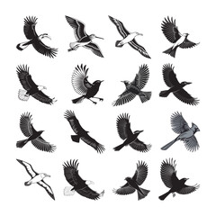 set of flying birds. Elegant Flying Bird Silhouette Bundle.
