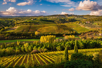 sinouses Chianti hills from Lucignano at the golden hours