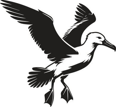 recommend clip art: Flying Albatross bird vector silhouette image 