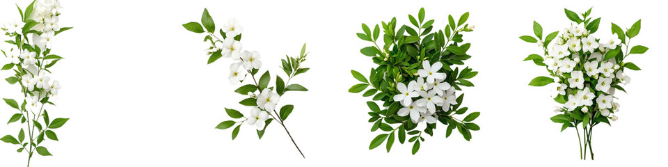Delicate White Flowers with Green Leaves on a Transparent Background for Creative Use