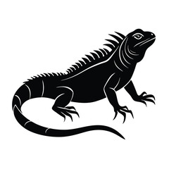 iguana on a branch vector with white background