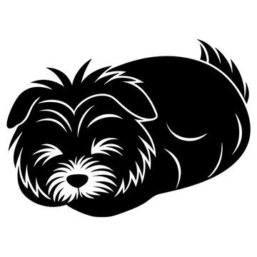 recommend clip art: maltese dog black silhouette vector, dog sleeping vector, Simple silhouette Design vector icon with white background.