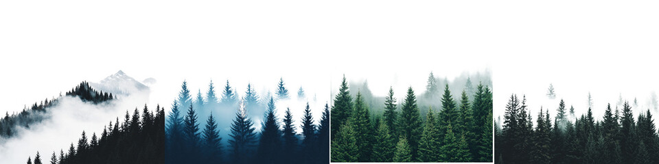 Mysterious Misty Forest Landscape with Dense Evergreen Trees and Dramatic Mountain Peaks