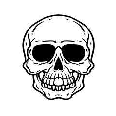 human skull illustration with white background