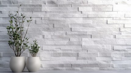 Serene Minimalist Interior Design: White Stone Wall with Green Plants