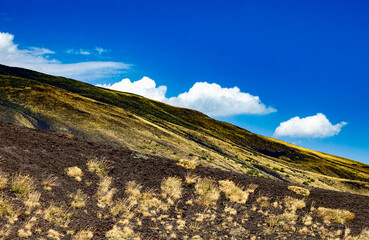 Végétation sur l'Etna