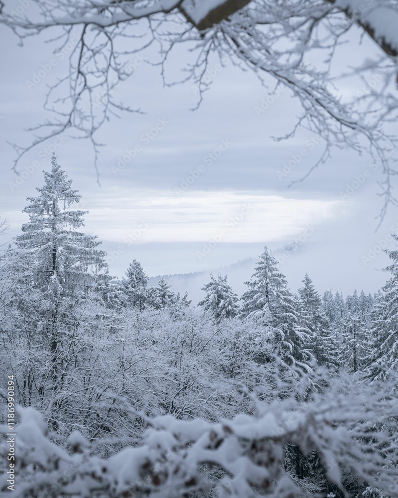 Wall mural Serene Winter Landscape with Snow-Covered Trees