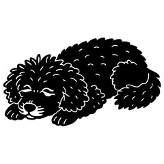 poodle dog black silhouette vector, dog sleeping vector, Simple silhouette Design vector icon with white background.