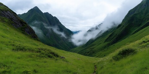 Fototapeta premium A stunning green valley fills the space between towering mountains, blanketed with fog, capturing the essence of wilderness and the allure of untouched natural beauty.