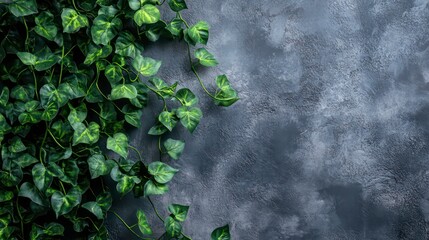 Lush Green Creeper Plant Cascading Against a Textured Gray Wall for Interior Decor Inspiration