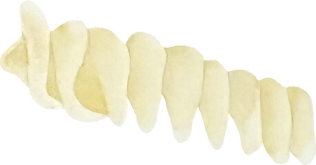 Watercolor italian pasta types. Fusilli