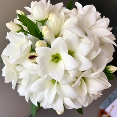 Close-up of a bouquet of white flowers.