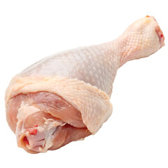 raw chicken leg isolated on white background