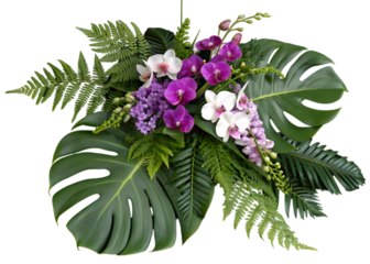 Tropical vibes plant bush floral arrangement with tropical leaves Monstera and fern and Vanda orchids tropical flower decor on tree branch liana vine plant isolated on white background