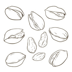 Set of pistachios, nuts in shell and kernels, hand drawn food illustration, line vector collection