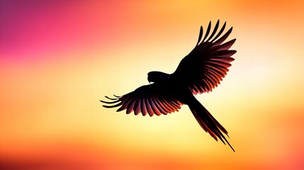 Obraz premium Silhouette of a parrot in flight against a vibrant sunset. A breathtaking moment of freedom.
