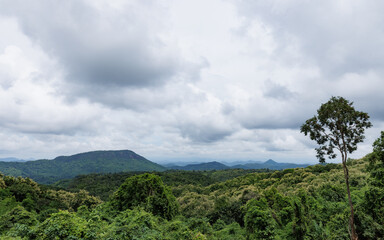 Wide panorama of beautiful nature landscape tropical rainforest with fog that covers the mountains and bright sky viewpoint of Phu Ruea National Park, Loei province, Thailand.