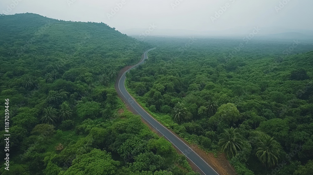 Poster aerial view of a winding road through a dense green forest landscape with ample space for text or gr