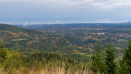 Fototapeta premium Fall colors are seen from an overlook along Hurricane Ridge Road, Olympic National Park, Washington, USA.
