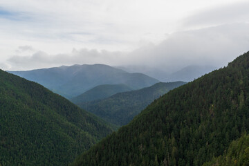Obraz premium Mist hangs heavy over the mountains of Washington State's Olympic Peninsula on a cloudy day, WA, USA.