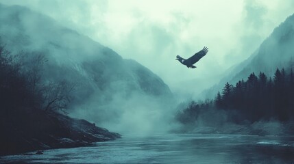 Obraz premium Bald eagle soaring over misty river surrounded by mountains during salmon run in serene natural landscape