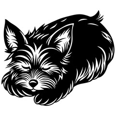 Yorkshire terrier Dog Sleeping black silhouette vector,  silhouette Design vector icon with white background	