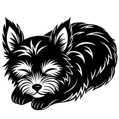 Yorkshire terrier Dog Sleeping black silhouette vector,  silhouette Design vector icon with white background	