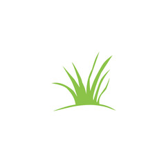 green grass plant