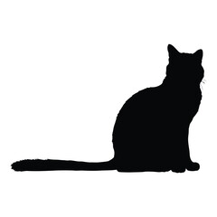 Create me a Cat sitting on the ground vecor silhouette, fill only black color isolated white background