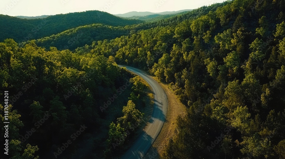 Poster aerial view of a winding road through a vibrant green forest with ample empty space for text or desi
