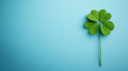 A Single Four Leaf Clover On Blue Background
