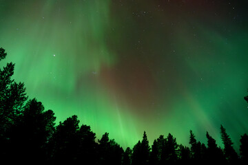 Zorza polarna © Dawid