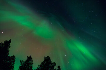 Zorza polarna © Dawid