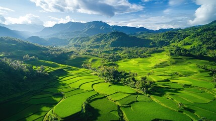Aerial view of lush green rice terraces nestled in majestic mountains under a clear blue sky with space for text placement