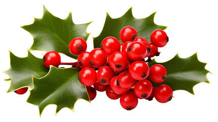Christmas Holly Berries Festive Decoration Image