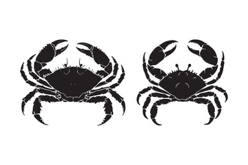 Realistic Crab Vector Illustration for Coastal and Nautical Artwork