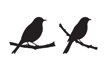 Silhouette Illustration of Two Birds Perched on Branches