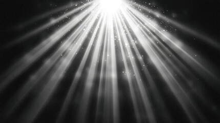 Obraz premium Illuminated Sunbeams