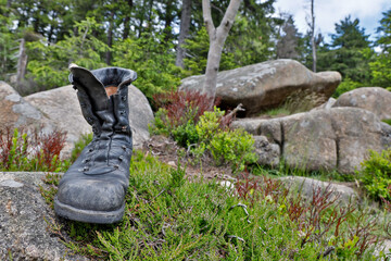 Impressionen Bilder aus dem Nationalpark Harz Wanderschuh