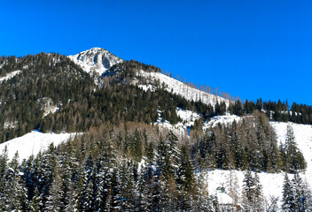 A majestic mountain landscape featuring snow-capped peaks, a clear blue sky, and dense evergreen forests. The serene winter scene captures the tranquil beauty of nature in its pristine form.