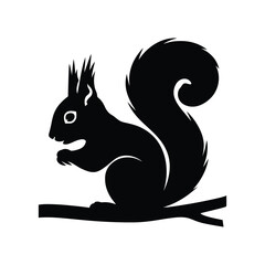Squirrel logo vector and illustration design